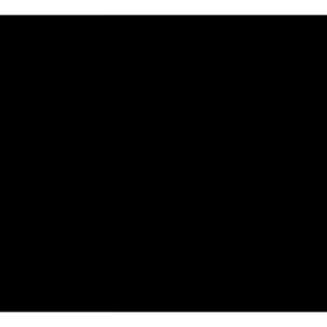 LAMPU LED T10 CREE SB2 15 TITIK AC DC LUXIMOS NINE SEIN