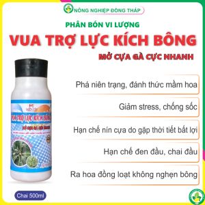 VUA TRỢ LỰC KÍCH BÔNG – MỞ CỰA GÀ CỰC NHANH Phân Bón Vi Lượng Cho Cây Tăng Hiệu Suất Cây Trồng - Lazada