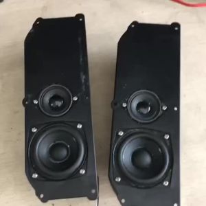 Full Frequency Car & TV Speaker