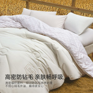 Warm Pure Wool Quilt