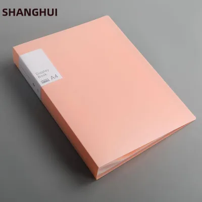 Transparent Multi-layer A4 Document Organizer