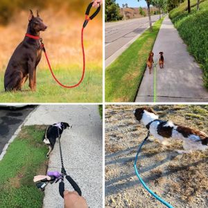 Dây Xích Chó phản quang teekland với tay cầm có đệm thoải mái-Dây kéo nhiệm vụ nặng gấp đôi cho chó mạnh-tăng cường an toàn và kiểm soát chiều dài 1.5m