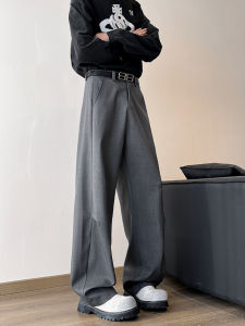 ZHUOCAN | Gray Pleated American Vintage Cleanfit Umbrella Trousers Men