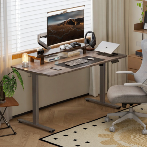 Loctek | Teen Home Office Study Electric Height Adjustable Desk