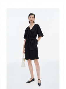 Black V-Neck Ruched Waist A-Line Dress