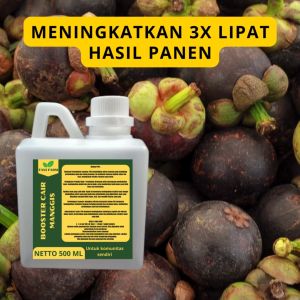 Pupuk Pelebat Manggis / Pupuk Buah Manggis / Pupuk Booster Manggis / Pupuk Manggis