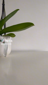 Cadbury Drinking Chocolate 500g Halal Cocoa Hot Cold Milk UK Europe Ready Stock COD Import Milo Ovaltine Vico Horlicks Viral Langkawi Harga Murah Promosi