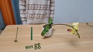 10 Pcs/Set Plant Pot Support Holder /Plant Single Pole Support Stake/ Flower Support Pole/Special Holder For Phalaenopsis/Garden Tools