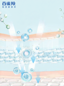 pechoin | Hydrating Moisturizing Skin Care Set