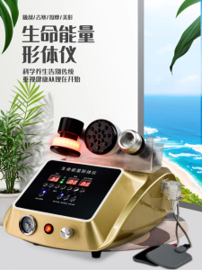 MaiJiaXin Life Energy Body Shape Instrument AiNuan Guasha Therapy Meridian Unblocking Xing Flagship Store Beauty Device