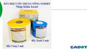 Bẫy ruồi vàng diệt côn trùng 2 mặt keo hiệu quả 90% bẫy tất cả côn trùng bọ trắng bọ trĩ nhện đỏ..trên 6 tháng nhập khẩu Israel 20 mét