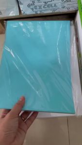 (Xấp 100 Tờ) Giấy bìa ngoại cứng TenPlus Khổ A4 Định Lượng 160gsm
