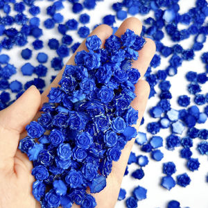 Bộ Trang Trí Móng Tay Bằng Nhựa Resin Phát Sáng Màu Xanh Klein Tối Giản 3D 30/60/150 Chiếc Thiết Kế Sáng Tạo Màu Sắc Tươi Sáng Hình Hoa Trà Và Mẫu Đơn Dùng Để Trang Trí Móng Tay Tự Làm