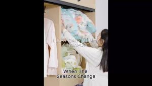Foldable Vacuum Storage Bags for Travel Space-Saving Clothes Organizer with Compression Seal
