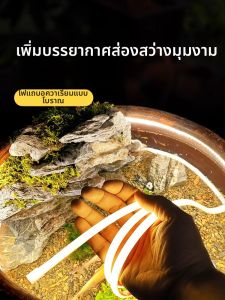 RUILUO | Waterproof Outdoor LED Strip Light 24V