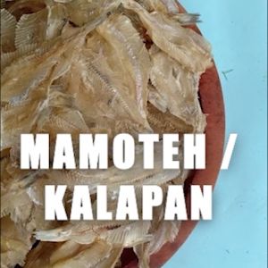 IKAN KERING KALAPAN / MAMOTEH TAWAR TERMURAH 100/250/500 gram