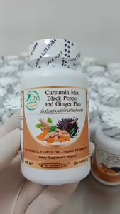 ขมิ้นชันผสมพริกไทย และ ขิง พลัส ตรา บ้านยิ้ม Curcumin Mix Black Pepper & Ginger Plus 600 มก. 100 เม็ด