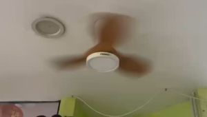 FANDASY 30"// 32 // 42‘’ // 52‘’ DC Motor Ceiling Fan with LED Light Remote Control Type Kipas Siling 3 Blades 6 Speed 吊风扇