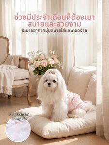 hipidog | Preventive Anti-Harassment Female Dog Panties