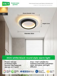 DGY | Modern Minimalist Corridor Ceiling Light