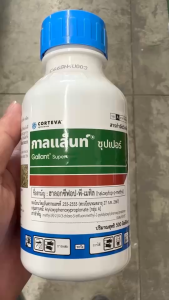 กาลแล็นท์ ซุปเปอร์ 500 ซีซี กาลแลนท์ ฮาโลซีฟอป-พี-เมทิล ใบแคบ กำจัดหญ้าใบแคบ ในแปลงผัก ใบกว้างเช่น คะน้า หอม กระเทียม ถั่วต่างๆ npkplant