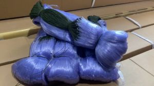 ตาข่ายดักปลา อวนดักปลา ขนาดเอ็น 0.15 ขนาด 12 เซ็น