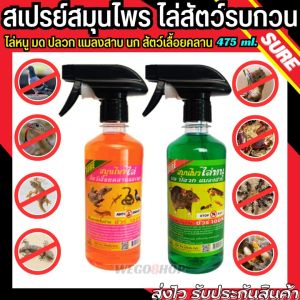 สเปรย์ไล่หนู สเปรย์ไล่งู สเปรย์ไล่ตุ๊กแก สเปรย์ไล่จิ้งจก สเปรย์ไล่นก 475 ml. ใช้เพื่อไล่นก สัตว์เลื้อยคลาน หนู แมลงสาบ มด ปลวก Anti SnakesBirdRat