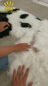 Karpet Bulu Rumah Karakter Premium Class Uk 60 x 96cm Bright Crown Kawaii