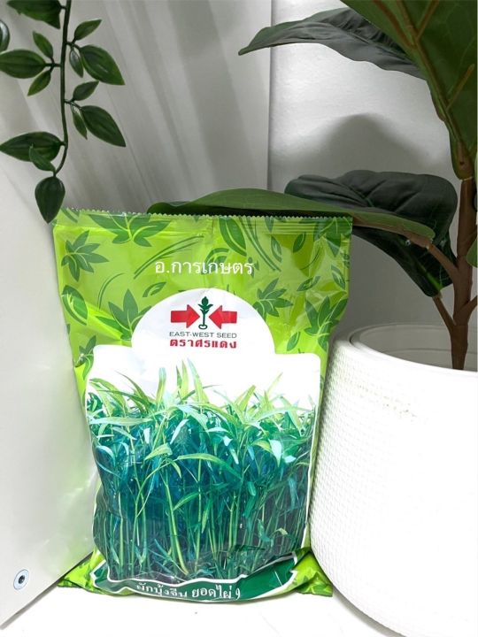 เมล็ดผักบุ้งตราศรแดง ยอดไผ่ 9 ยกลัง 24 ถุง ขนาด 1 กก.