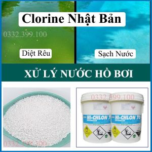 1kg Chlorine Nhật 70 - Nippon Nhật Xử Lý Nước Hồ Bơi - Diệt Rong Rêu Khử Trùng Nước Sinh Hoạt [ gói chiết 1kg ]