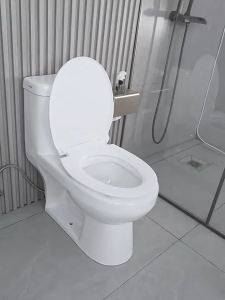 2 in 1 Toilet seat  Built in Potty Training Seat Combo  Toilet Lid Famalily Toilet Seat Slow Close