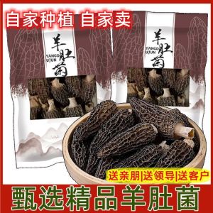 Yunnan Specialty Morel Factory Direct Sales Soup Non-Smoked Sulfur Special Offer Fresh Edible Fungus Dry Goods Belly Mushroom Dried Mushroom