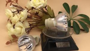 Lixun Vivitek ES2806F/DW814/DW882ST/DX813/DX881ST Projector Bulb