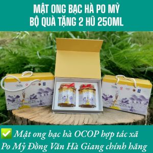 MẬT ONG BẠC HÀ PO MỶ CHÍNH HÃNG OCOP HÀ GIANG MẬT ONG BẠC HÀ NGUYÊN CHẤT VIETGAP ĐẶC SẢN HÀ GIANG