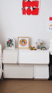 Kệ nhựa hộp tủ nhựa DIY đa năng đựng đồ và trang trí phòng hiệu Babyviva lắp ráp linh hoạt