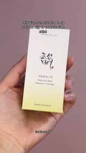 BEAUTY OF JOSEON Matte Sun Stick : Mugwort + Camelia 18g SPF 50+ PA++++