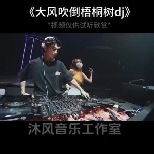 2024抖音火爆歌曲DJ优盘热门流行中文DJ榜单无损音乐车载MP3/4U盘