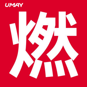 Umay(佑美) | Abdominal Exercise Fitness Equipment for Home