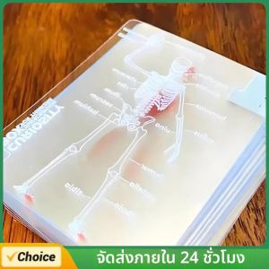 ไพ่เล่นแบบใสรูปทรงกายวิภาคมนุษย์ ใช้ซ้ำได้ หลายแบบ ใช้สำหรับสะสม ศึกษา และเล่นเกมแบบอินเทอร์แอคทีฟ