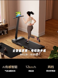 Folding Treadmill Multi-function Walking Mat Home Mini Treadmill Gym Mat