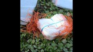 Nylon Mesh Bag Fruit Protect Net Bag Vegetable Storage Bag Reusable for Garden Fruit Trees Anti Insect Fly Bird Monkey Squirrel Kebun Beg Vegetables Prevention 水果保护网袋