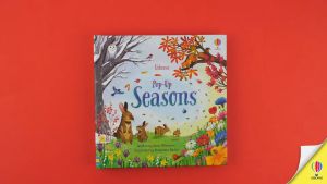 Usborne Pop-up Series Book