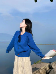 CHOEFULYN | Klein Blue Round Neck Knit Sweater for Women Autumn New Style Loose Outerwear