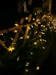 IQONICA 30L/50L LED Star Solar Christmas Party LED Light Outdoor Waterproof Garden Decoration Light