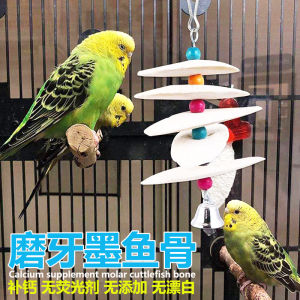 Natural Squid Bone Wind Bell Toy for Parrots Tortoises Teeth Grinding Chew Toys Bird Food Hanging Treats Pet Supplies