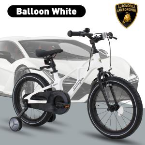 Lamborghini 14" 16" 18" inch MTB Lightweight Magnesium Frame Training Wheel Kickstand