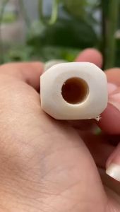 Pipa GG Asli Lokal Model Segilapan Lengkung Lebar 10cm Mulus