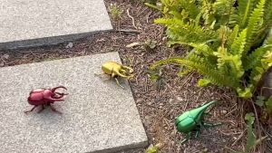 Beetle Insect Model Unicorn Fairy Trick Creative Upstream Simulation Beetle Clockwork Toy Upstream