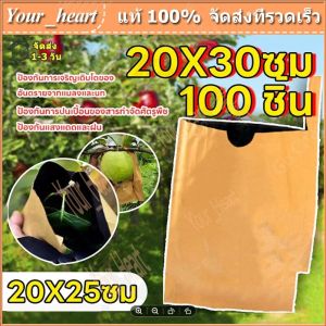 (500ใบ )ถุงห่อผลไม้ กระดาษห่อฝรั่ง ขนาด20X30 มีประมาณ 500 แผ่น ถุงห่อฝรั่ง ถุงห่อมะม่วง คาร์บอนขนาด เหนียว กันเเดด กันฝน กันแมลงและนก แข็งแรงทนทาน ได้เป็นอย่างดี