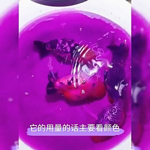 Survival rate: 200%🔥yee nitrifying bacteria aquarium 12 hours water becomes clear No harm to fish potion bacteria starter algae remover for Aquarium Fish Tank&Moss Algae clear quality clarifier purification 鱼药水